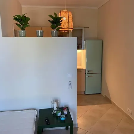 Apartment Studio Karidi Vourvourou